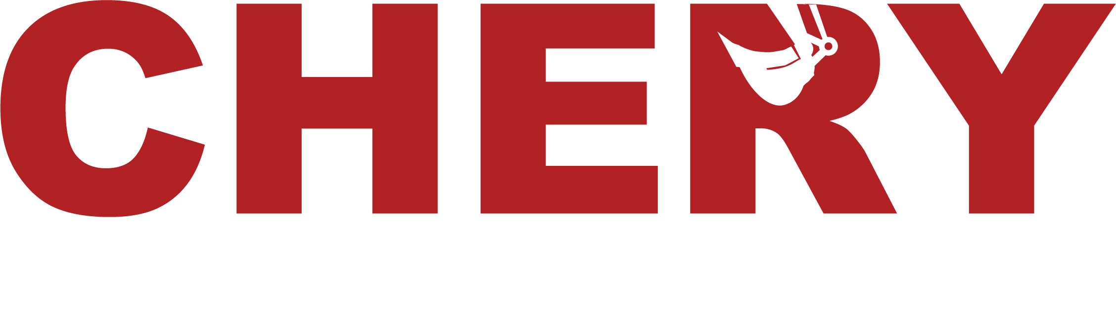 Logo Text